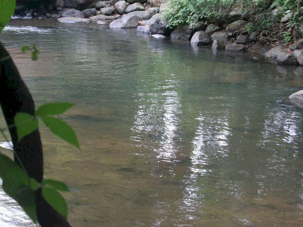 River Garden Resort เบลิฮุล โอยา ภายนอก รูปภาพ